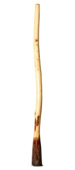 Ironbark Didgeridoo (IB215)
